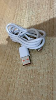 F95D共田芭蕉扇充電線 白色 USB-A 轉 USB-C cable 支持快速充電