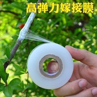 Fruit Tree Grafting Film No Knots 3cm5cm6cm8cm10cm Packaging Stretching Film Takeaway Film PE Small 