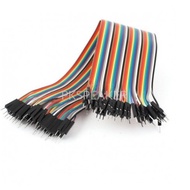 Raft Cable (2.54mm) 40 pin to 40 (Male-Male) 20 cm (2.54mm) 40 40 20