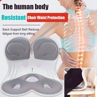 【Lower Back Pain Relief】HFH Ergonomic Posture Corrector Chair with Lumbar Support - Ergonomic Chair/
