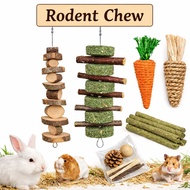 Rodent Chew Toy Set Applewood Stick Guinea Pig Hamster Supplies Chew Toys Hamster Toys