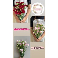 Carnation Anyelir Bunga Potong Fresh Bunga Segar Tangerang Bsd Gs
