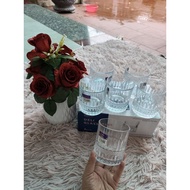 6-piece glass cup set