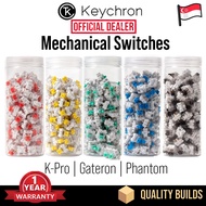 Keychron Mechanical Switches Gateron K Pro Phantom Lubed Keyboard K2 K4 K6 K8 K10 K12 Q1 Q2 Q3 Q4 Q5