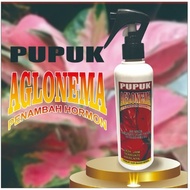 pupuk cair TANAMAN HIAS AGLONEMA penambah hormon 250ml + botol organik