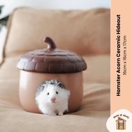 Home of Hams | Hamster Acorn Ceramic Hideout Hamster Hideout Hamster Ceramic Hideout