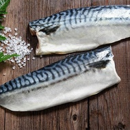 【鮮綠生活】 (免運組)挪威薄鹽鯖魚S(毛重135克-170克/片)共25片
