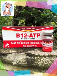 [ 10 lọX 5ml]B12-ATP Asta Tăng thể lực cho ngựa đua gà chọi chó nghiệp vụ.