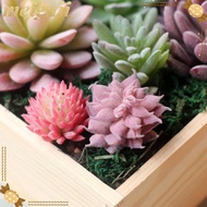 MEIGUII Fake Plant DIY Miniature Vivid Garden Cactus