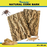 Reptile Cork Bark Natural Cork Bark Tarantula Hideout log 15 cm x 20 cm