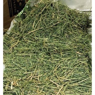 Alfalfa Hay 1kg