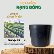 [20 cái] Chậu Trồng Cây Nhựa Dẻo C12 - KT: 31x27cm có lỗ thoát nước dày dặn mày đen độ bền cao - Hạt