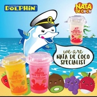 Dolphin Nata De Coco 270ml