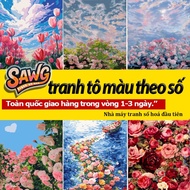HCM-fast transfer-1-3 days-Sawg-tulip field-color by number-coloring pictures-coloring paintings-by-