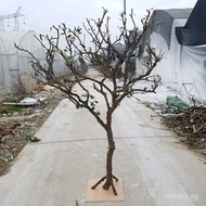 Decorative Dead Tree Branches Photography Props Solid Wood Dry Branches Decorative Tree Dead Tree Br