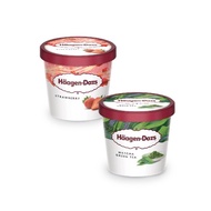 Haagen-Dazs Ice Cream Mini Cup 100ml (per pcs)