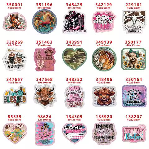 10pcs/lot Howdy Western Rodeo Cowgirl Glitter Acrylic Flatback Planar Resins DIY Gift Crafts Jewelry