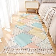 Ankah Vintage Textured Tassel Runner Rug, Washable Multicolor Area Rug, Hand-Made& Reversible for Li