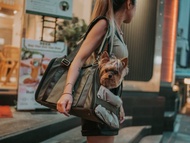 寵物外出包, 上飛機袋 (軍綠色, 防潑水尼龍)