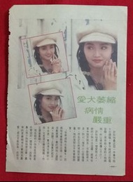 許秋怡專訪