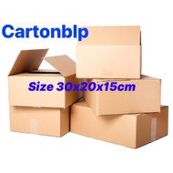 10 CARTON Box SIZE 30X20X15CM