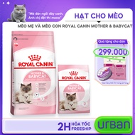 Royal Canin Mother Cat Granules & Babycat – Pregnant/Bulb & Kittens 1–4 Months