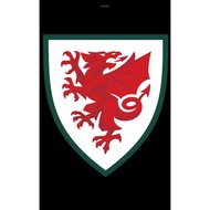 WALES JERSEY (NEW)