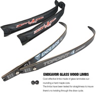 TOPOINT R10 ILF Recurve Bow Limbs H25-66" 68 70 Takedown 18-44lbs Competition