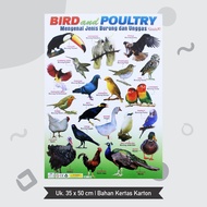 Poster Lembaran Seri Animals Aneka Satwa / Animals World Dunia / Binatang Jinak Domestic / Bird And 