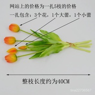 Simulation Soft Gum Tulip Bouquet PE Latex Silicone Flower Moisturizing Feel 5 Heads LCKZ