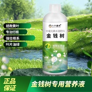 Gardening Tools Money Tree Dedicated Nutrient Solution One Bottle Promotes New Sprout Leaves Brightl