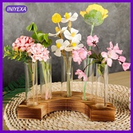 [Iniyexa] Plant Terrarium,Plant Birthday Gift Plant Pot Flower Vase