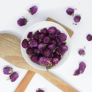 Teh Globe Amaranth Bunga Kenop Tisane