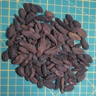 Buah Langkau/Belimbing Tanah