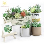 10PCS Artificial Succulent Plants Faux Assorted Unpotted Home Garden Fake Plants