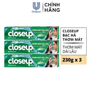 (Combo 3 Tuýp) Kem đánh răng CLOSEUP 230g Thiên Nhiên