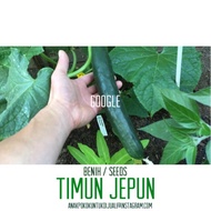 Biji Benih Timun Jepun : 2222 F1 Hybrid Tokyo Green Cucumber (Timun Jepun)