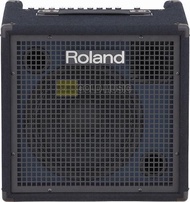 Loa Guitar Roland KC-400