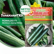 Hot🔥 Paket 2.5-10-20g (100-400-800 Seeds/Biji) RONALDO F1 Biji Benih Timun Batang Jepun Bintang Asia