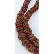 Original Rudraksha Mala 5 Mukhi Big Size