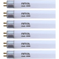 (6 Pack) F8T5/DL 6500K 12’’ Linear Fluorescent Light Bulb, 8W Day Light T5 Tube, F8T5/D Bright White