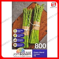 Asparagus Green Wand Benih Asparagus 芦笋 Jom Tanam Seeds 种子 JT-800