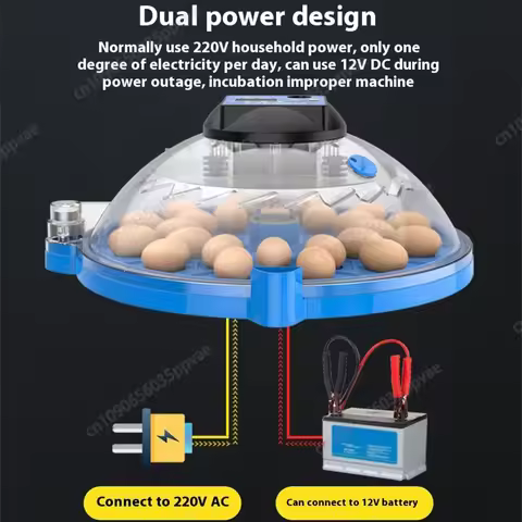 A8 Shape Automatic Egg Incubator For Cockatiel Parrot Quail Birds With Digital Temperature Control A