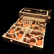 Ready Stock Plaster Nest Ant Eco Box Ant Nest Set Pet Ant Ant Nest Ant Castle Ant Workshop Ant House