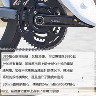 ROTOR ALDHU CARBON碳纖維粬柄軸心牙盤功率計Power2max NG eco