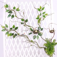 Simulation Moss Dead Vines Moss Tree Vines Wall Ceiling Curved Landscaping Decoration Matching Branc
