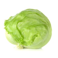 Biji Benih Iceberg Lettuce (50 biji benih) / Salad iceberg seeds