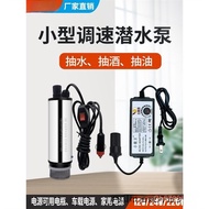 DC Stainless Steel Water Pump Diesel Pump Diving Small Kerosene Spring Water Pump Household Wine Pum