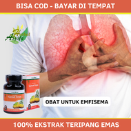 Obat Emfisema Obat Herbal Emfisema Obat Emfisema Paru Sesak Napas Asma Bronkial Pneumonia dengan Gam