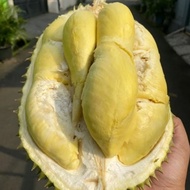 Durian Bulat Utuh Montong Palu 2kg